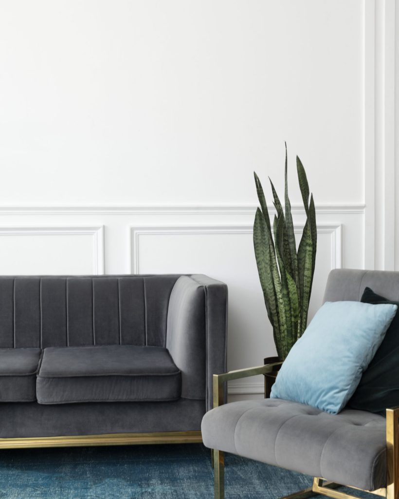 Chic mid-century modern luxury aesthetics living room with gray velvet couch and blue rug